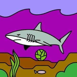 Meet your Posher, Sam